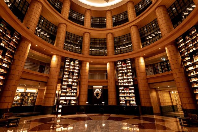 ذا بايزيكس فوكوكا