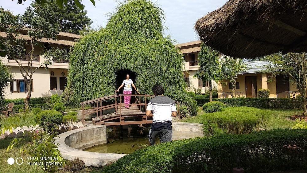 بارديا تايجر ريزورت