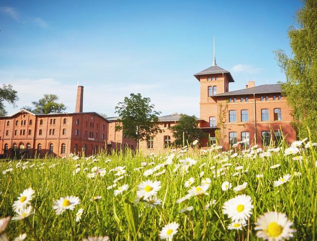 لاندغات ستوبر