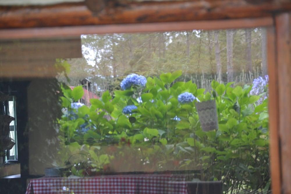 فيلا باجون إيكو لودج