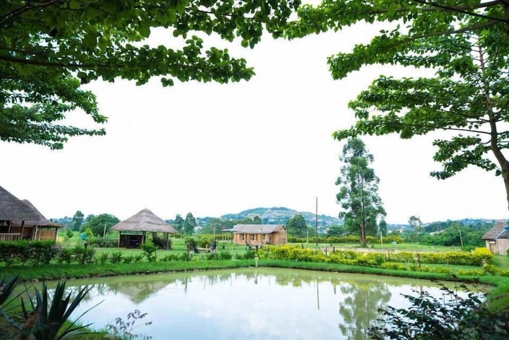 فوريفر إيكو ريزورت