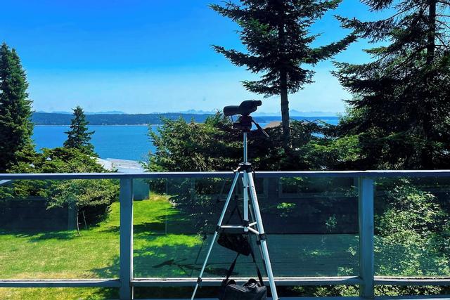 Incredible Water Views, Deck Relaxing Retreat Greenbank Getaway by Avantstay